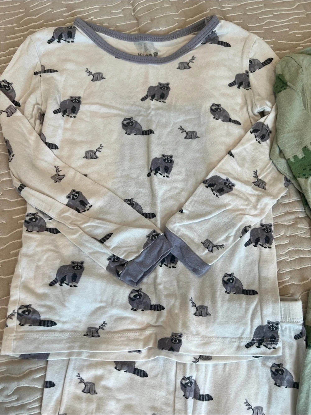 Kyte baby & carters Kids Long Sleeve Pajama set White Raccoon & Green Dinosaurs